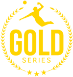 AVP Gold Logo