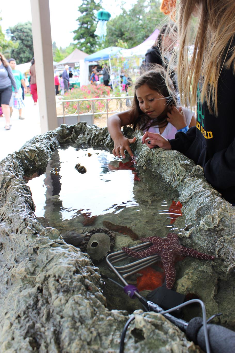 Touch Tank at Earth Day