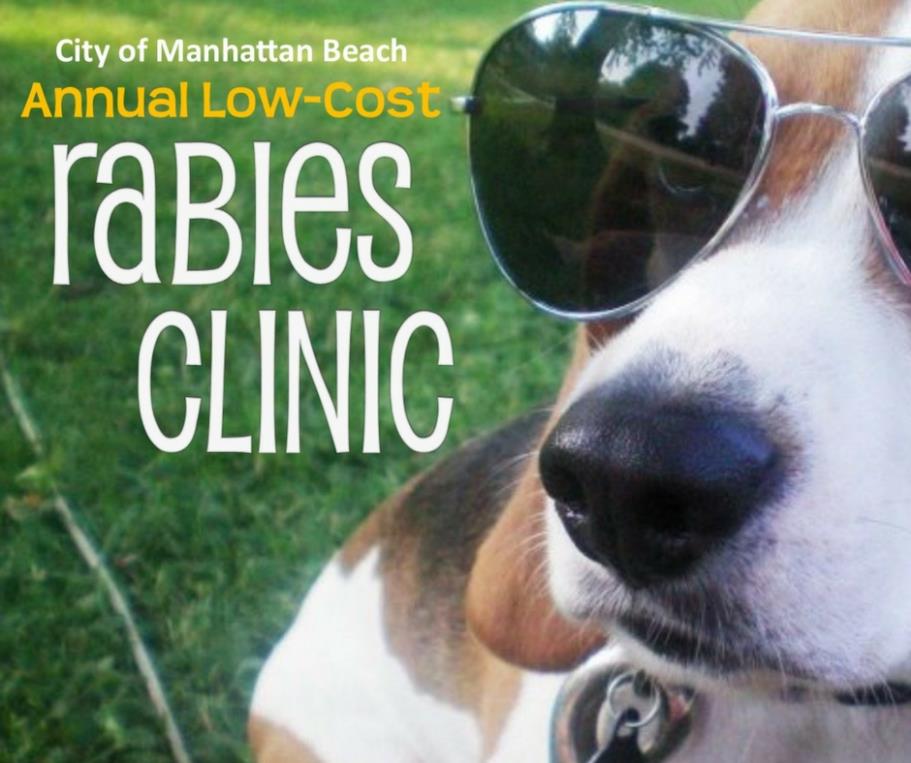 Rabies Clinic