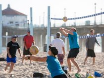 Adult Volleyball Classes