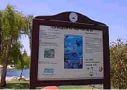 Storm water pollution sign