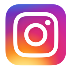 INSTA LOGO