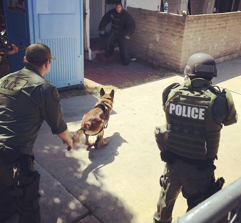 K-9 Unit Training Exercise