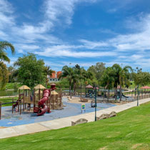 Polliwog Park Play Equipment Survey