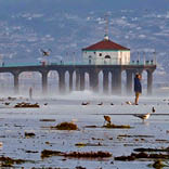 Low Tide by McAusland, Robert