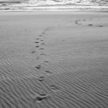 Footprints by Glasser, Paul