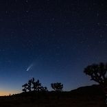 Neowise at Joshua Tree by Huang, Brian