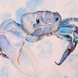 Blue and Crabby by Appert, Maren