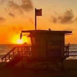 Seagull Watching the Sunset by Powell, Wayne