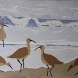 Shore Birds by Schultz, Janice