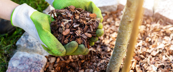 Community Mulch Program