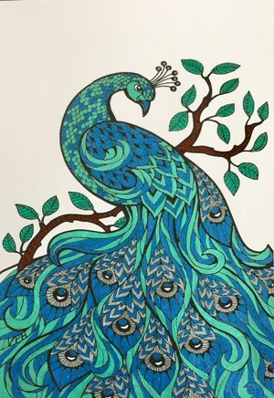 Peacock drawing