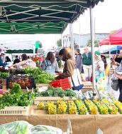 Suspected exposure to E. coli bacteria linked to a vendor at the Manhattan Beach Farmers Market