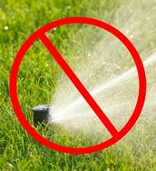 Manhattan Beach Calls for Residents to Stop All Outdoor Watering for 15 Days in September