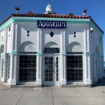 Manhattan Beach Roundhouse Aquarium