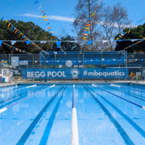 Begg Pool Study 210