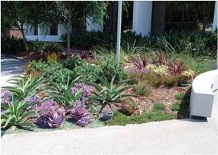 City Hall Sustainable Landscape