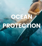 Ocean Protection News Story Thumbnail (2)