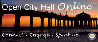 Open City Hall Online Small for Web